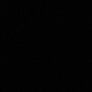 Meet your Posher, Lacey